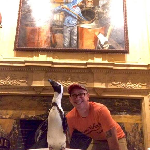 Meet your Posher, Paul - Picture 1 of 1
